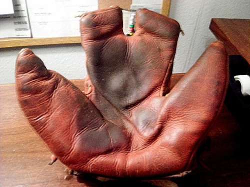 Ripon Ambidextrous Glove Front